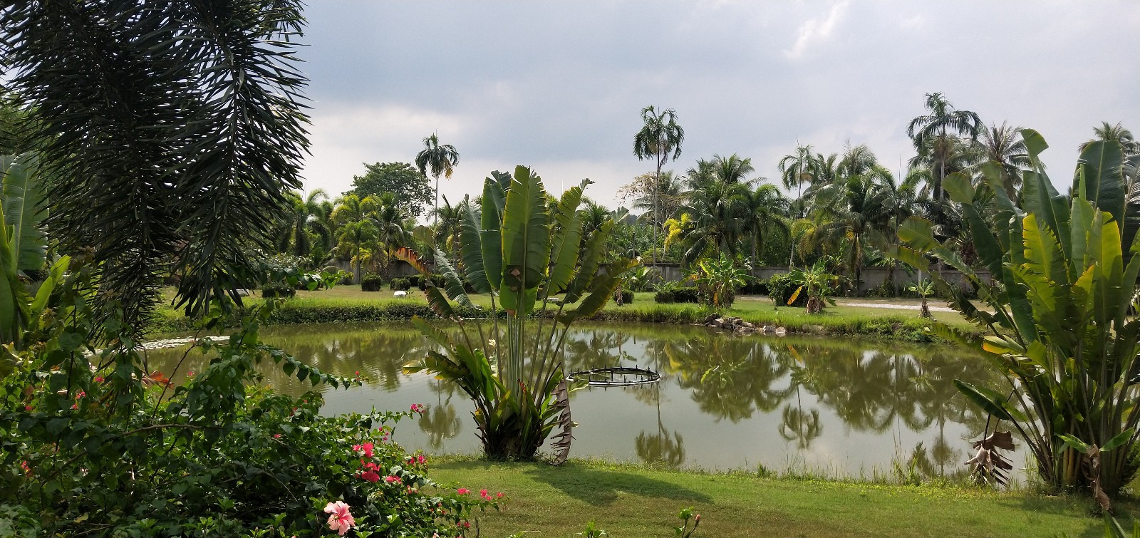 IMG20191118111840